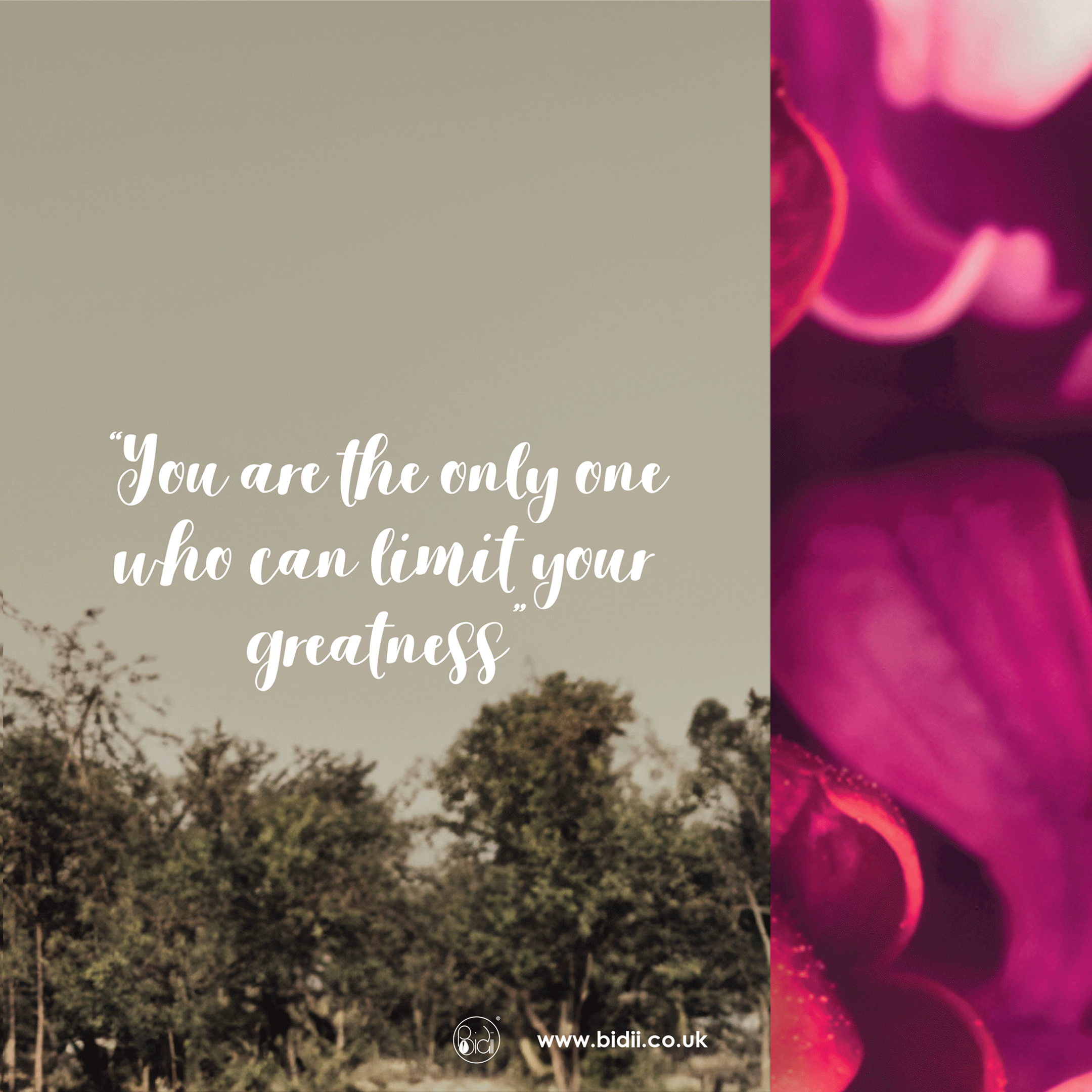 Bidii-Magazine_issue10_IG_05