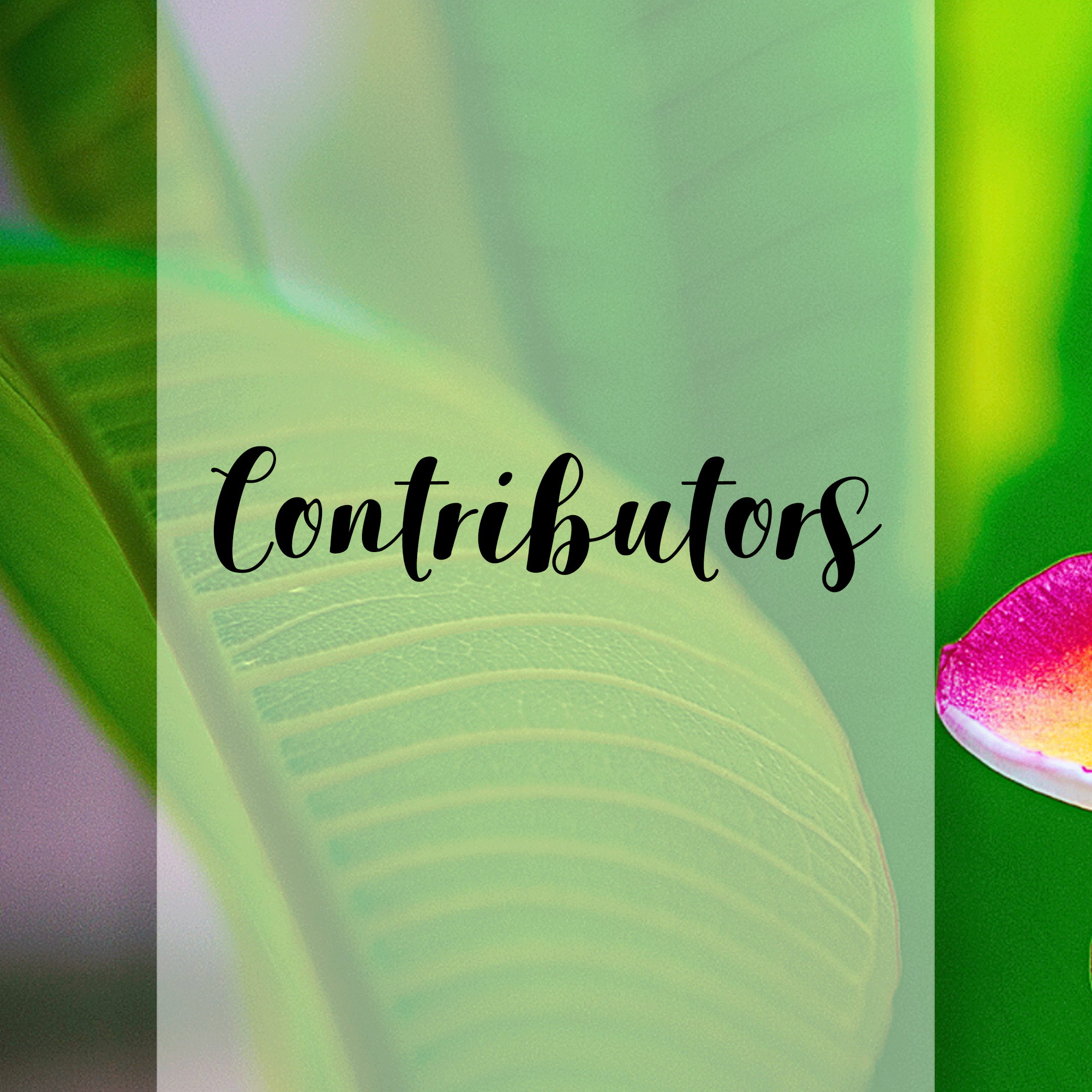 Bidii-Magazine_issue9_IG_09